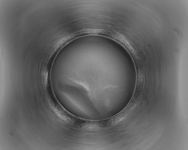 X0000112100110200908041519