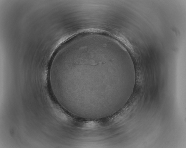 X0000112100111200908041519