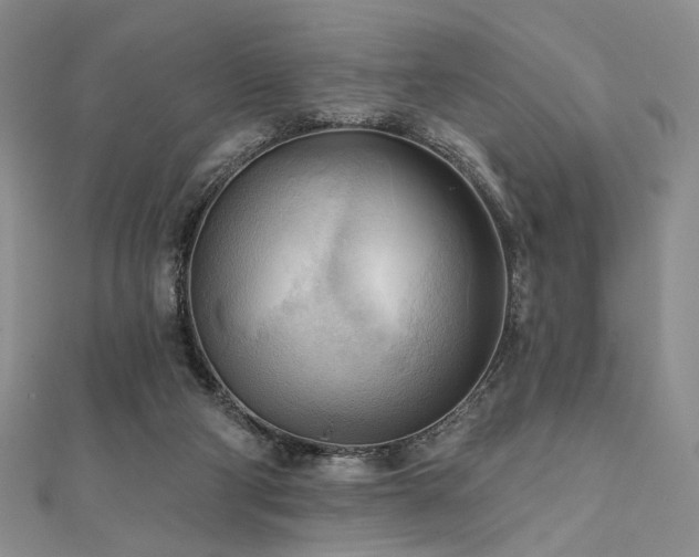 X0000112100114200908041519