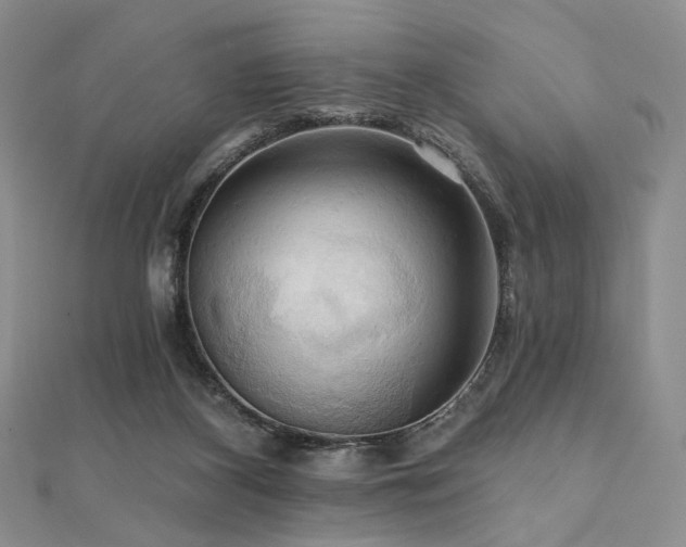 X0000112100116200908041519