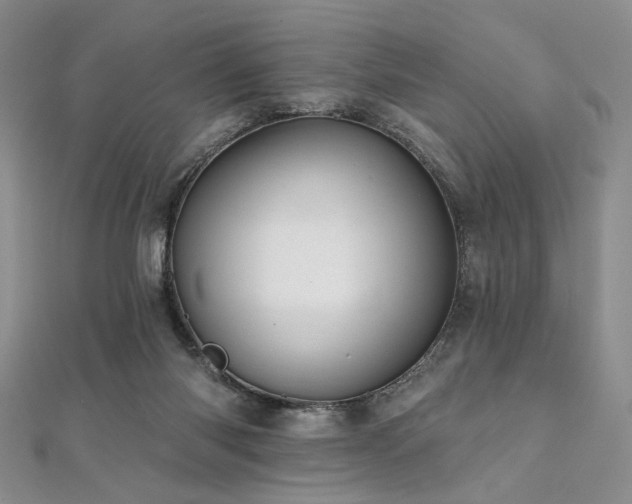 X0000112100118200908041519