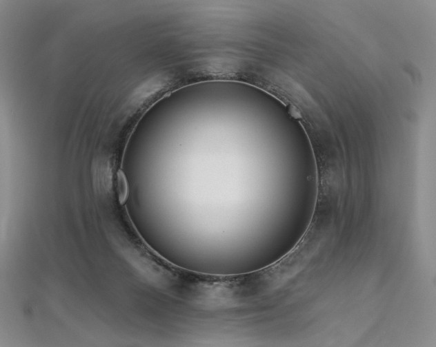 X0000112100120200908041519