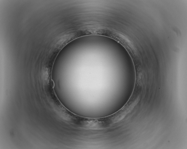 X0000112100121200908041519