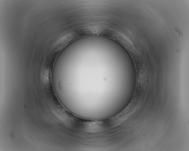 X0000112100122200908041519