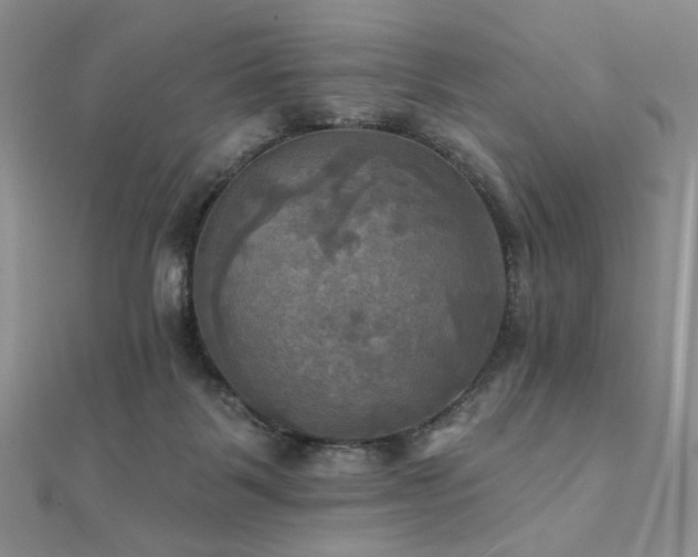 X0000112100123200908041519