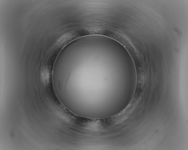 X0000112100124200908041519