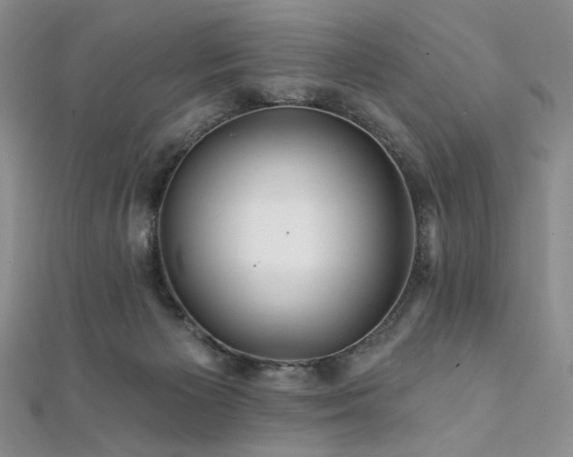 X0000112100125200908041519
