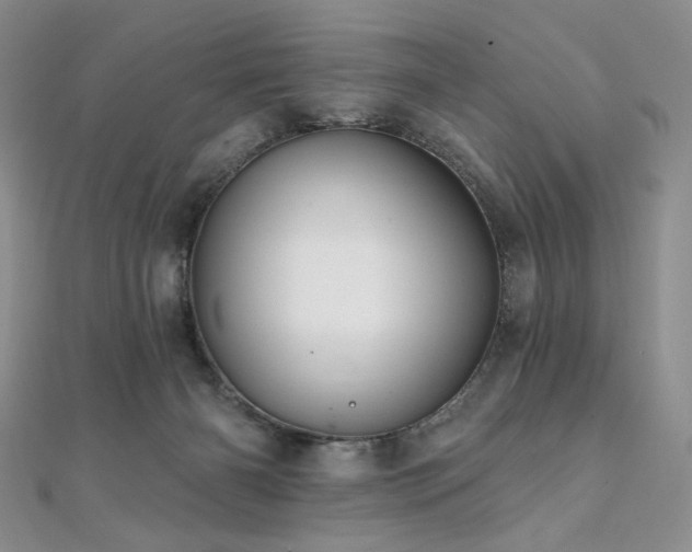 X0000112100126200908041519