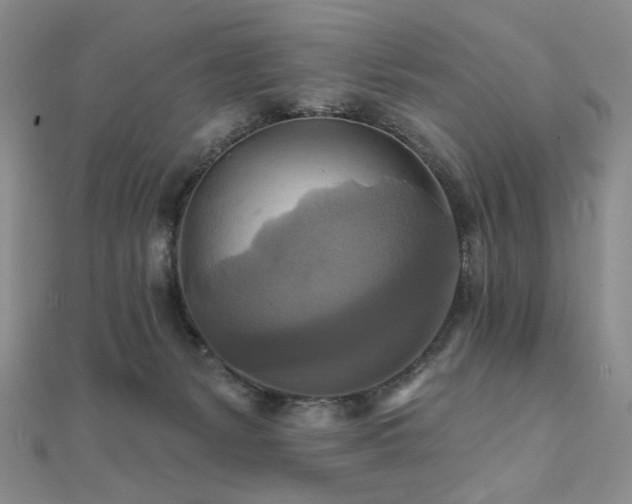 X0000112100127200908041519