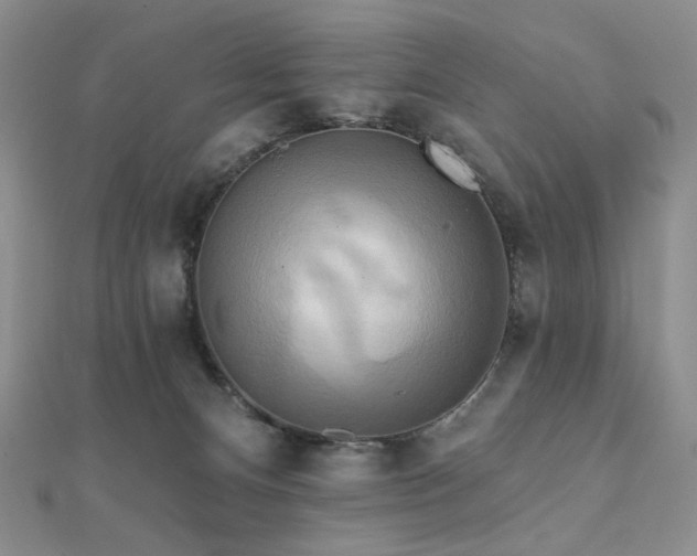 X0000112100128200908041519
