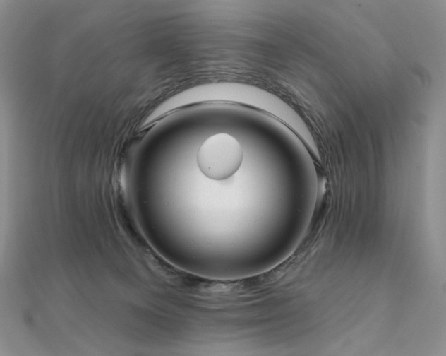 X0000112100129200908041519