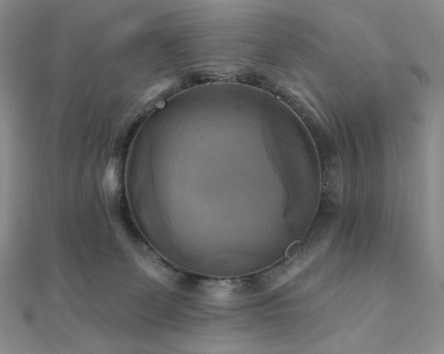 X0000112100131200908041519