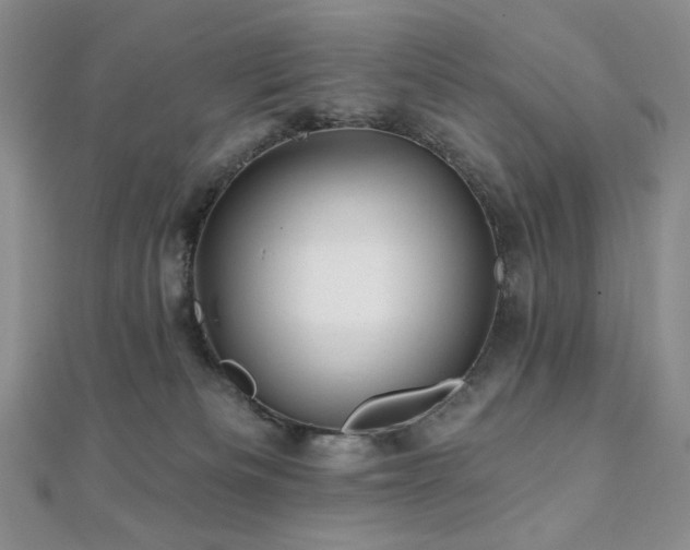 X0000112100133200908041519