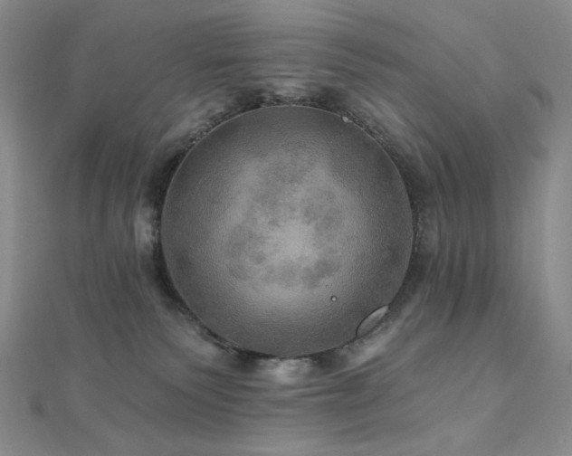X0000112100135200908041519