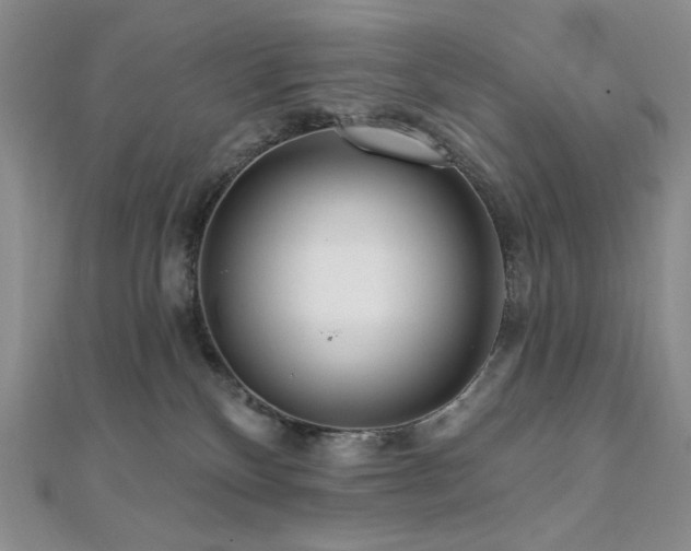 X0000112100136200908041519