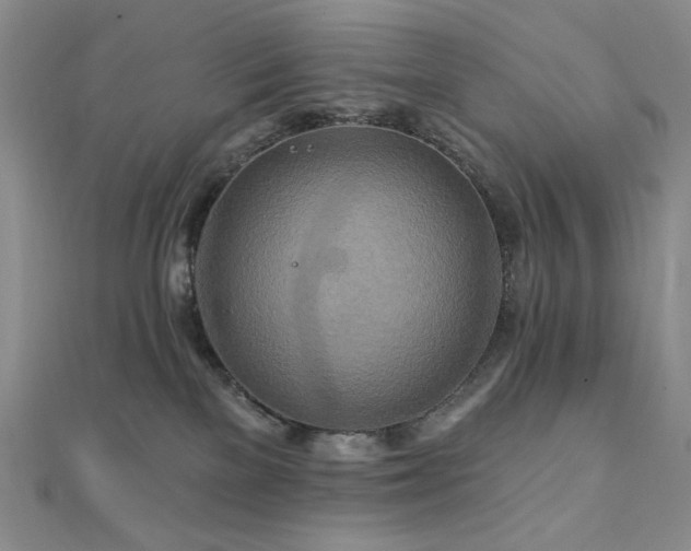 X0000112100137200908041519