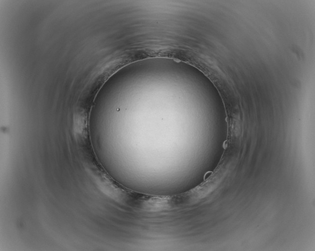 X0000112100138200908041519