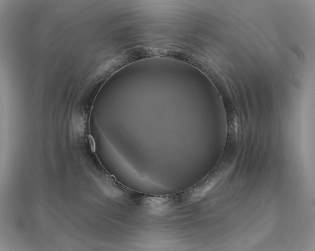 X0000112100139200908041519