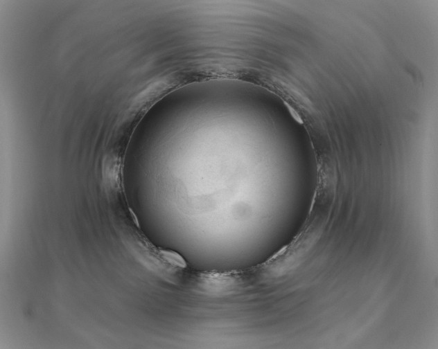 X0000112100141200908041519