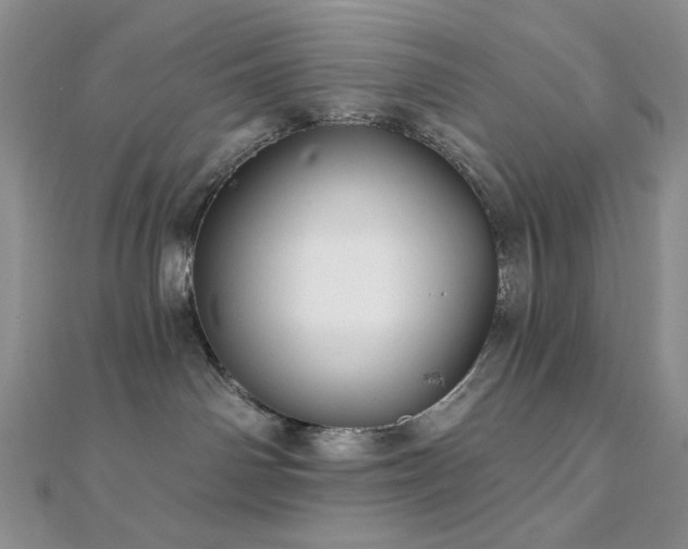 X0000112100142200908041519