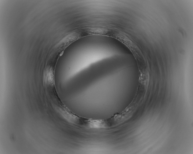 X0000112100143200908041519
