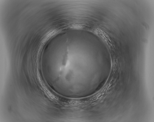 X0000112100145200908041518