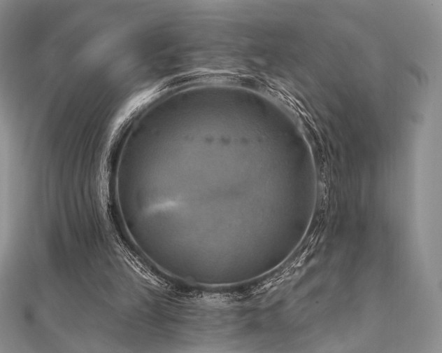 X0000112100149200908041518