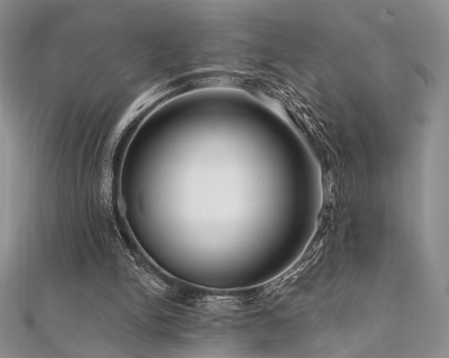 X0000112100150200908041518