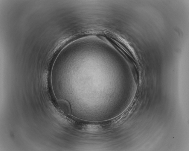 X0000112100154200908041518