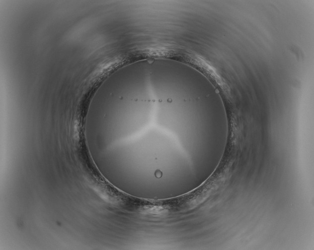 X0000112100161200908041518