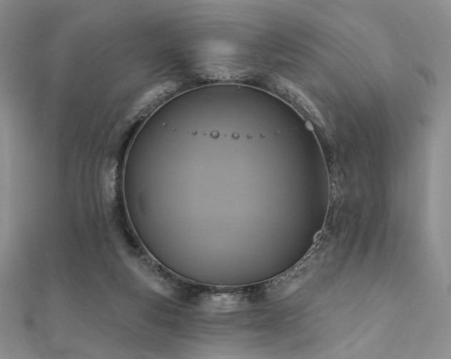 X0000112100163200908041518