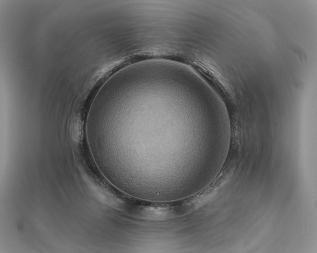 X0000112100164200908041518