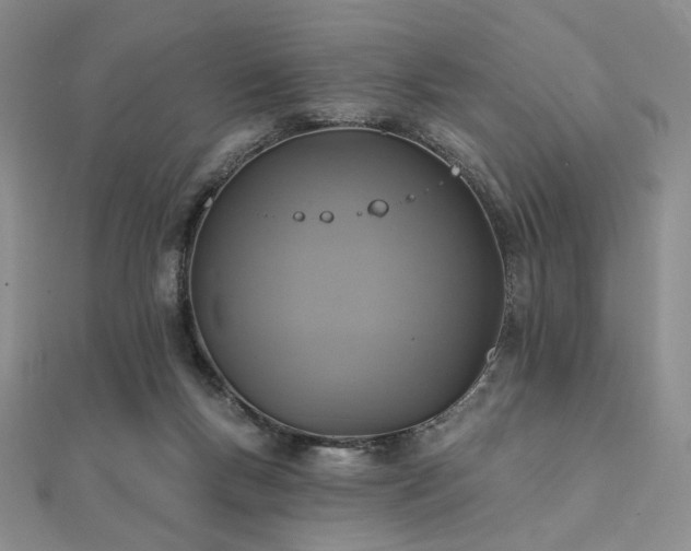 X0000112100167200908041518