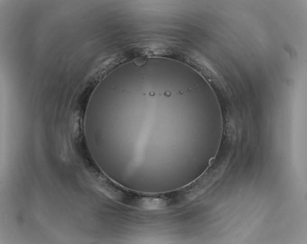 X0000112100169200908041518
