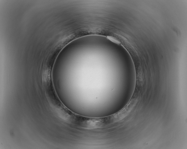 X0000112100172200908041518