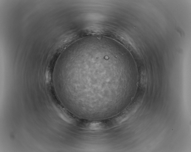 X0000112100173200908041518