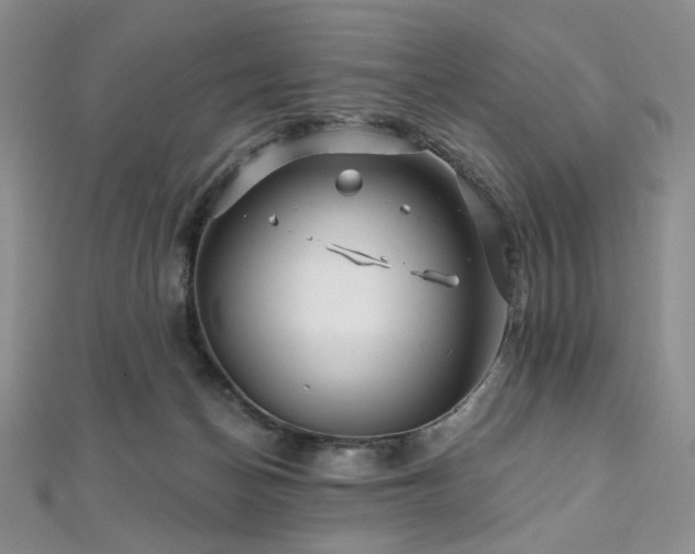 X0000112100174200908041518