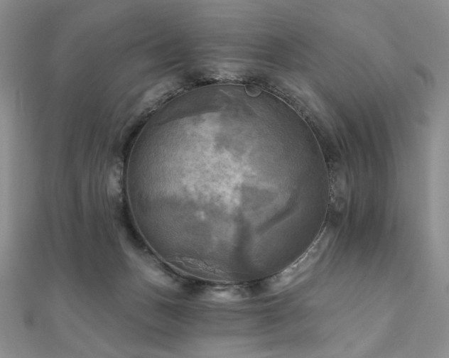 X0000112100175200908041518