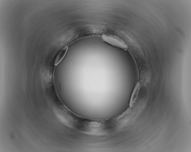 X0000112100176200908041518