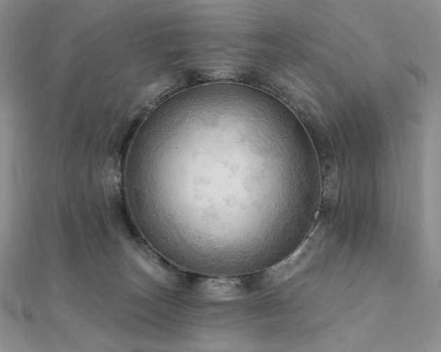 X0000112100179200908041518