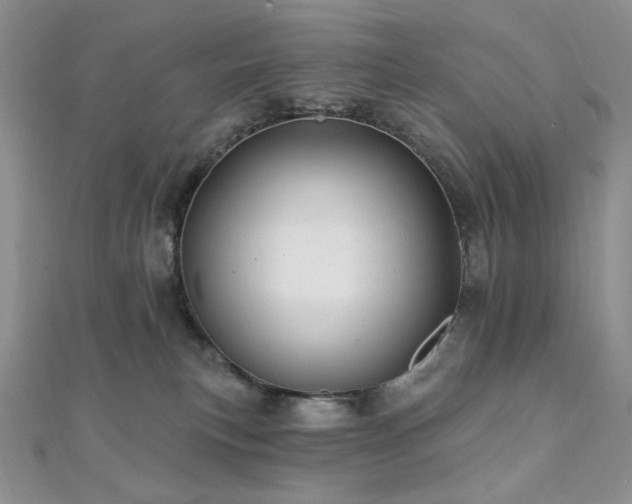 X0000112100183200908041518