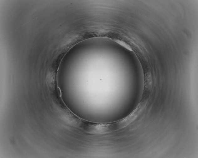 X0000112100184200908041518