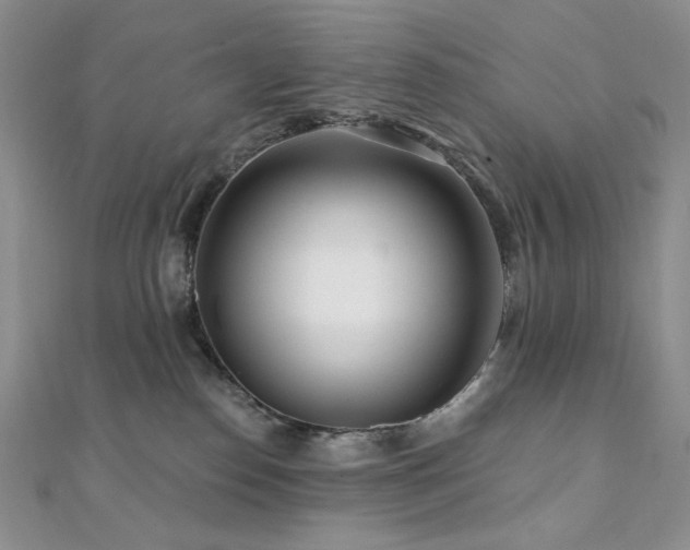 X0000112100186200908041518
