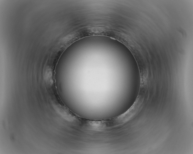 X0000112100187200908041518