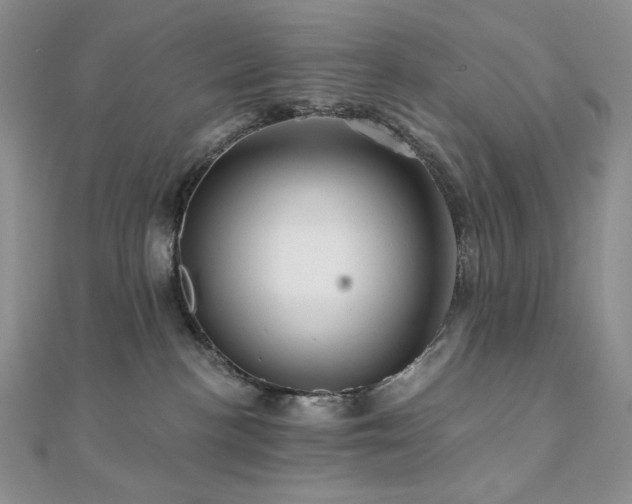 X0000112100188200908041518