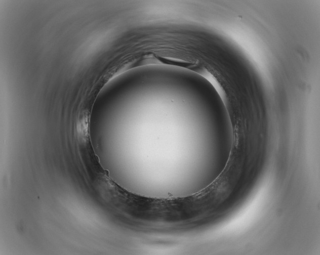 X0000112100190200908041518
