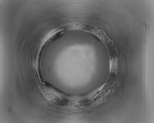 X0000112100195200908041518