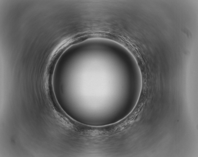 X0000112100197200908041518