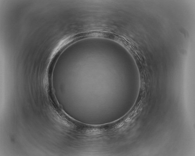 X0000112100198200908041518