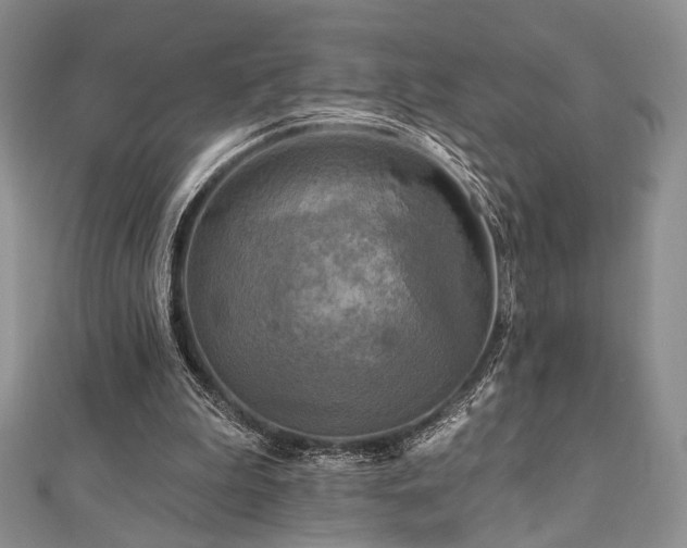 X0000112100199200908041518